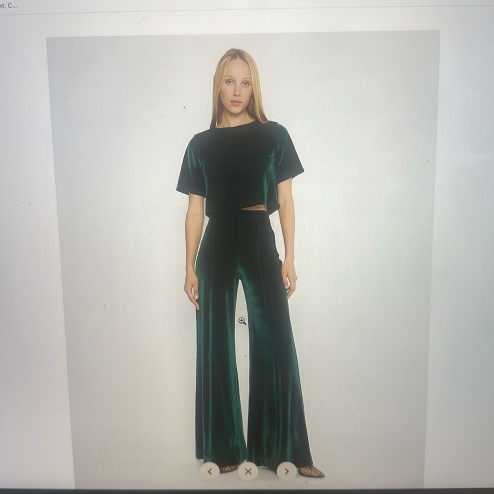 Ripley Rader
Emerald Velvet Wide Leg Pant
Size small